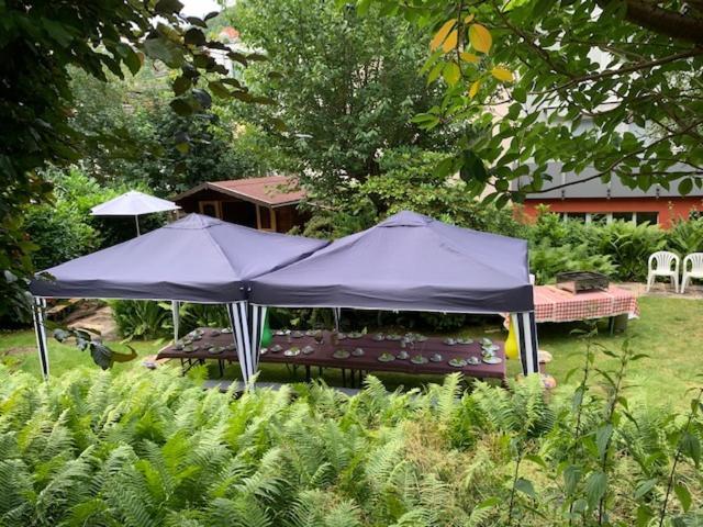 Hotel Sonnenhof 바드윌드바드 외부 사진